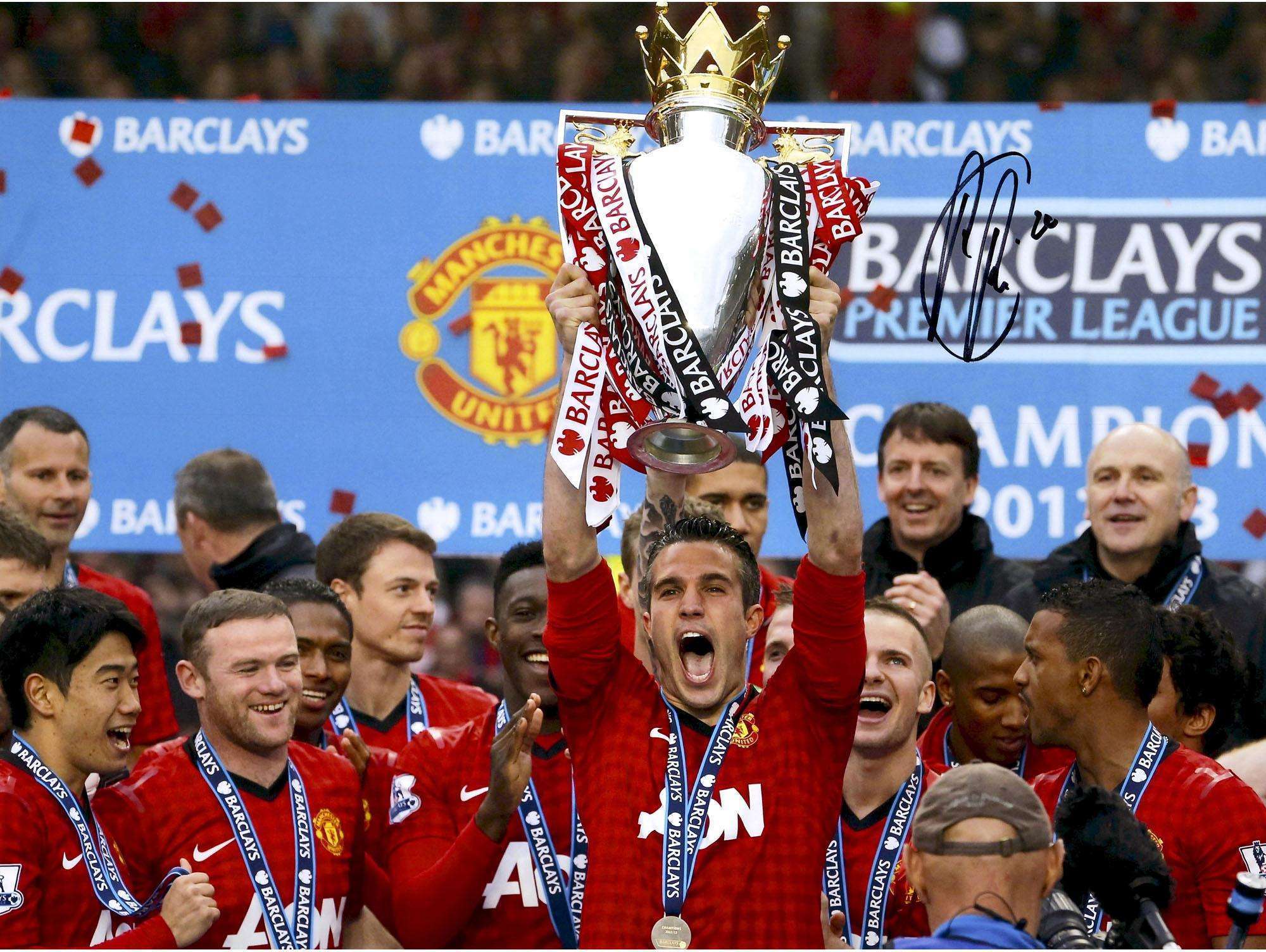 年轻一代树 年轻一代树